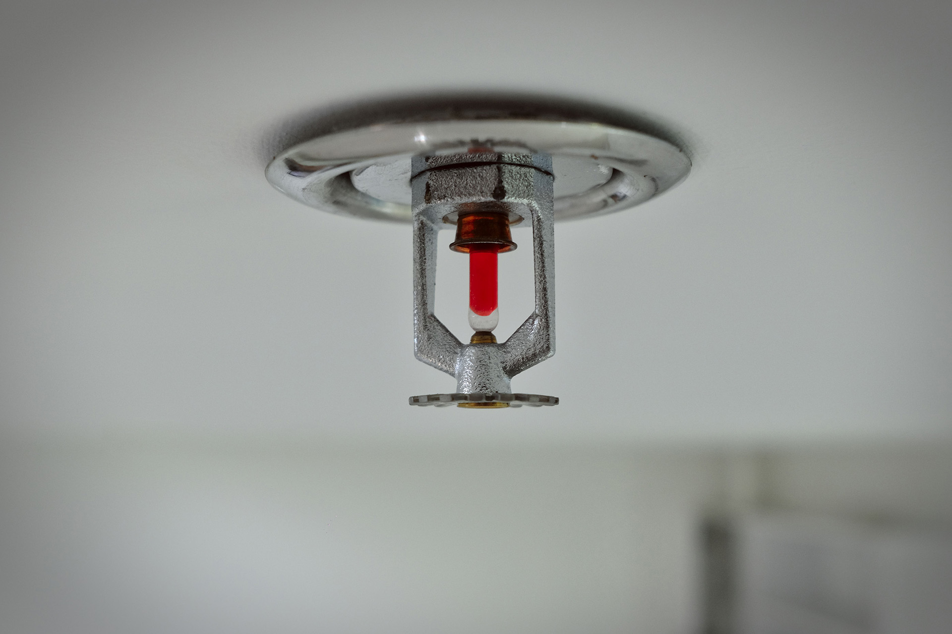 A Red Rocks Fire Protection technician performing a sprinkler service